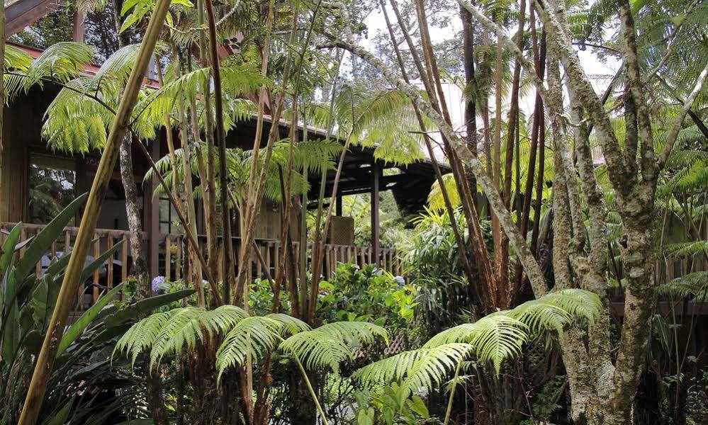 فولكانو Lotus Garden Cottages المظهر الخارجي الصورة